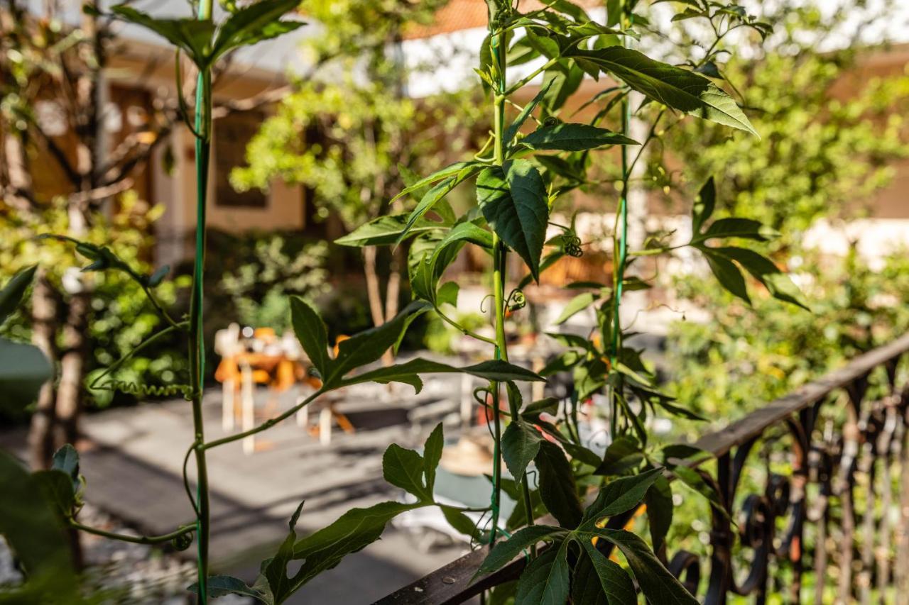 Casa Tuna Mexico By Eksteriør billede